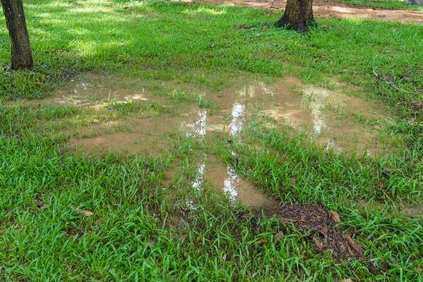 Cost of Storm Water Drainage Service in Blue Springs