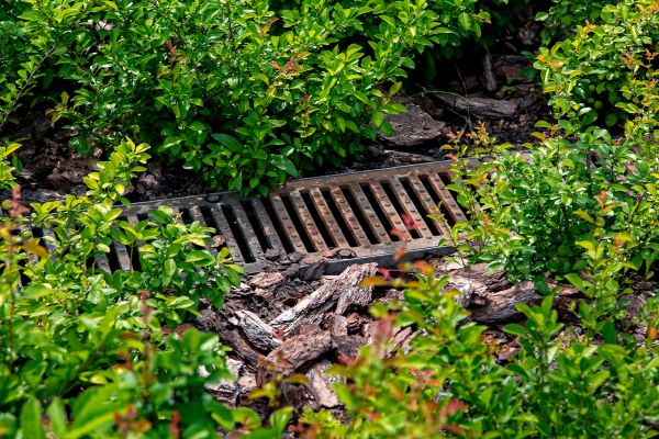 Cost of Underground Drainage Service in Blue Springs