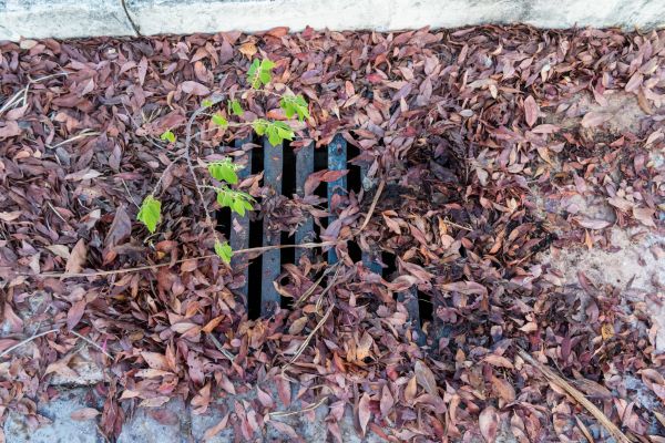 Cost of Yard Drain Unclogging in Blue Springs
