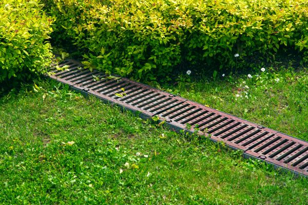 Cost of Lawn Drainage in Blue Springs