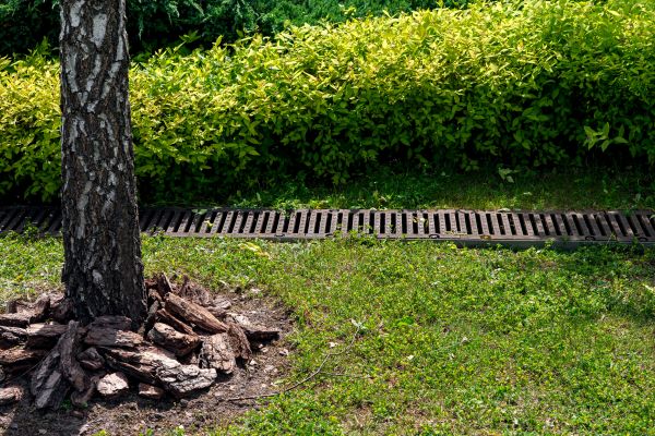 Cost of Yard Water Redirection in Blue Springs