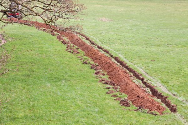 Cost of Swale Installation in Blue Springs
