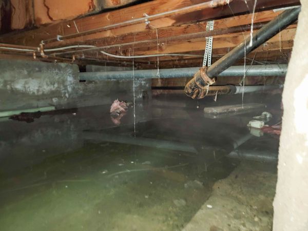 Cost of Crawlspace Drainage in Blue Springs