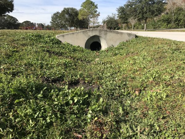 Cost of Swale Drainage Service in Blue Springs